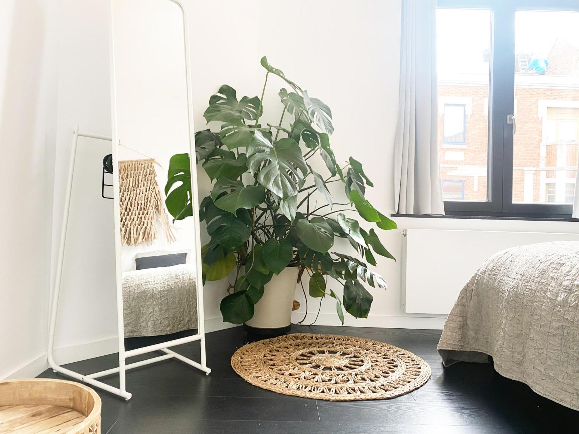 Nyaman Villa Остенде Екстериор снимка